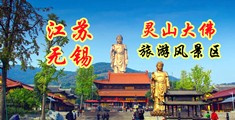 大吊日B江苏无锡灵山大佛旅游风景区